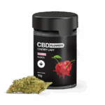 A "Cherry Lady - CBD virágok 10g | Indica" feliratú prémium fekete tégelyen cseresznye, Indica szöveg és egy kannabiszlevél ikon látható. Elöl egy szárított kannabiszvirág bimbó pihen. A 10g-os üveg a CBD Europeról származik.