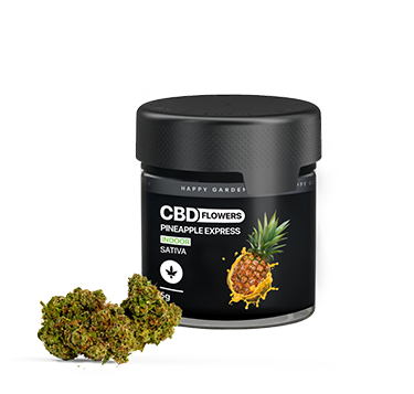 Egy fekete tégely CBD Flowers Pineapple Express Sativa feliratú, ananászos képpel ellátott fekete tégely ül egy kis halom zöld, leveles CBD virágbimbó mellett fehér háttéren.