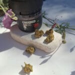 Egy Prémium fekete tartály, Pineapple Express - CBD virágok 10g | Sativa felirattal, fehér kövön ül, körülötte kannabisz rügyek és lila virágok, bemutatva a CBD Europe teljes spektrumú termékeinek minőségét.