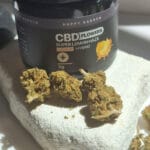 Közelkép a Prémium szárított kannabiszrügyekről egy kőfelületen, a háttérben egy fekete, Pineapple Express - CBD virágok 10g | Sativa feliratú tartály. A napfény kiemeli a teljes spektrumú rügyeket és a címkét.